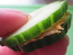 komkommer met pindakaas