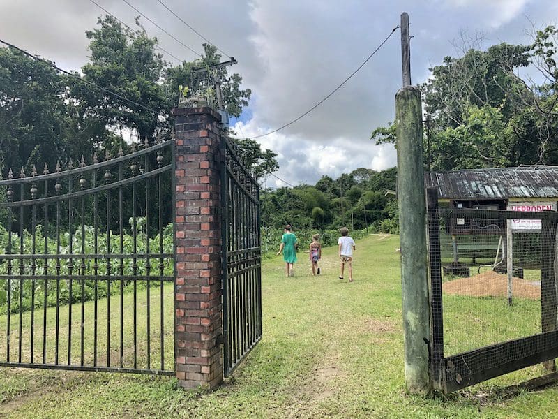 ingang peperpot wandelpad