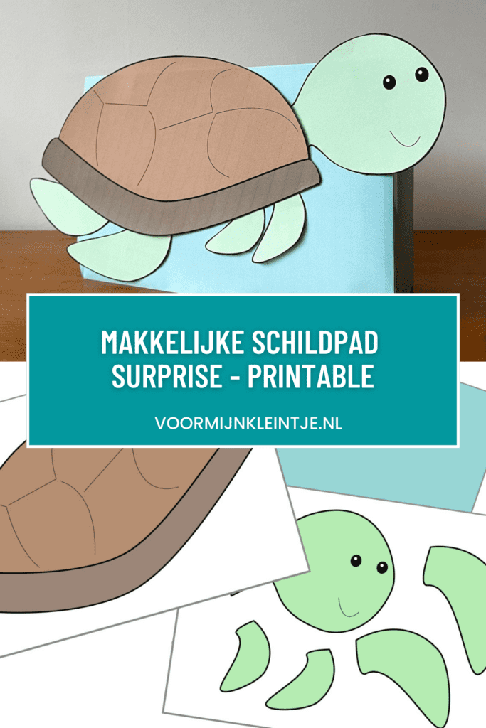schildpad surprise